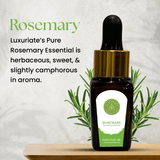 Rosemary Essential Oil - LUXURIATE