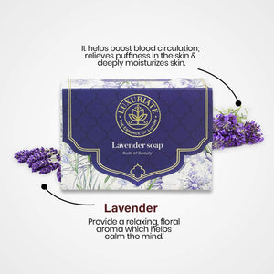 Lavender Skin & Bath Gift Set Box 5PC