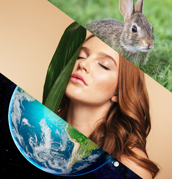 Care commitments image