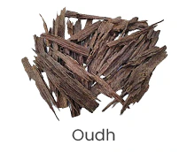 Oudh
