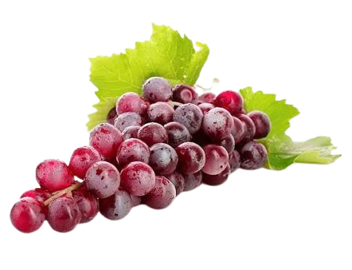 Red wine