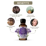 Lavender Essential Oil 10ml — View 3