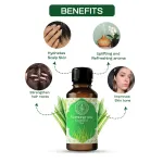 Lemongrass Essential Oil 10ml — View 3