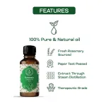 Rosemary Essential Oil 10ml — View 1