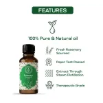 Rosemary Essential Oil 10ml — View 15