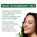 Rosemary Essential Oil 10ml — View 5