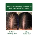 Rosemary Essential Oil 10ml — View 6