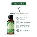 Tea Tree Essential Oil 10ml — View 2