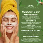 Tea Tree Salicylic Acid Foaming Face Wash - 100ml — View 2