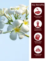 Nagchampa Bambooless Incense Stick — View 4