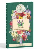 Patchouli Bambooless Incense Stick