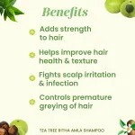 Tea Tree Ritha Amla Shampoo 200ml — View 17