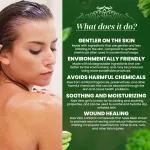 Aloe Vera Basil Herbal Soap Bar - 125gm — View 2